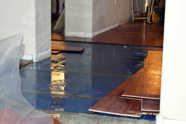 Professional Basement Flood Cleanup technician working in Fairfield, AL